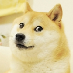 sandreyxl
