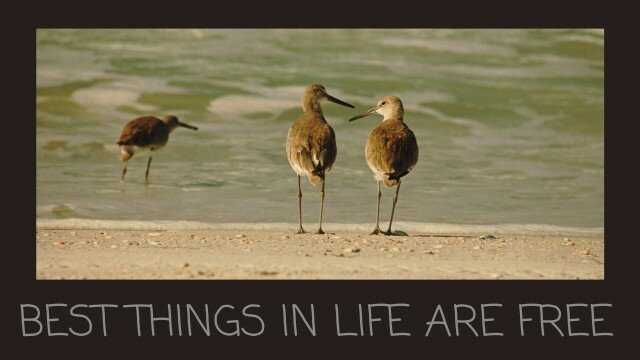 1337716440_bestthings.jpg.541a3b615edc62c73a5f0f8d9728cdae.jpg