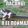 antonka